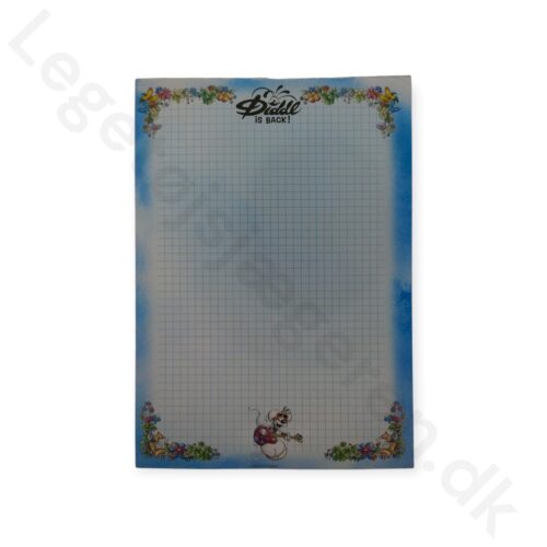 DIDDL SPILLER GUITAR - DIDDL IS BACK