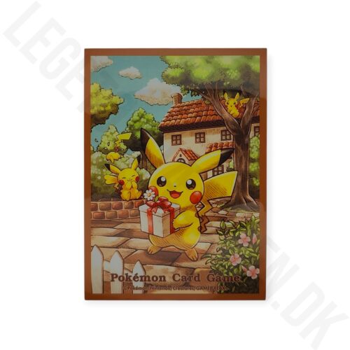 PIKACHU MED GAVE BRUN
