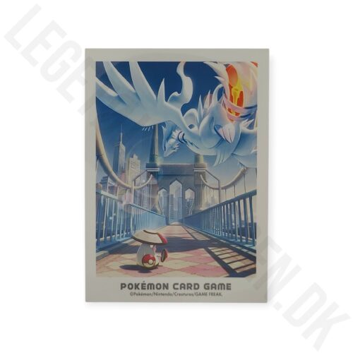 RESHIRAM OG AMOONGUSS